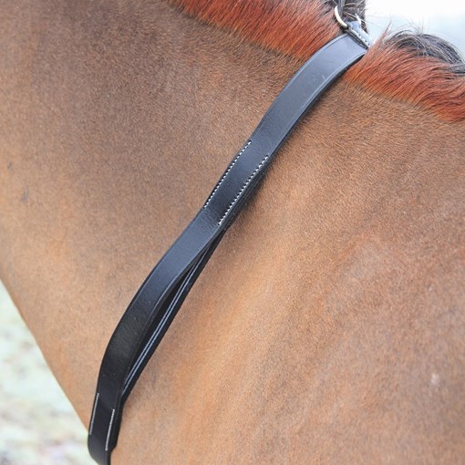 Shires Neck Strap