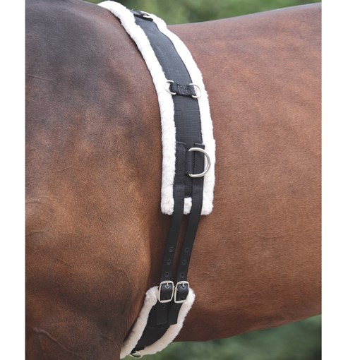 Shires Lunge Surcingle 