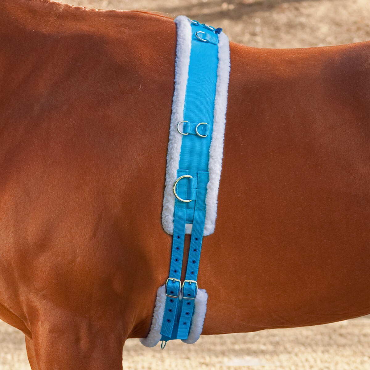 Lunging Training Roller Fleece Padding Pony Cob & Full Horse one size Adjustable 