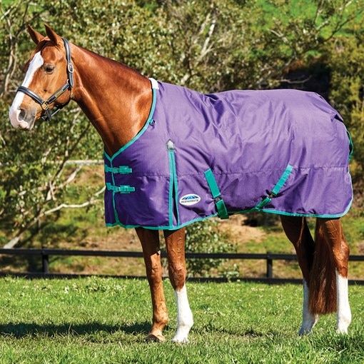 Weatherbeeta ComFiTec Essential Turnout Blanket- C