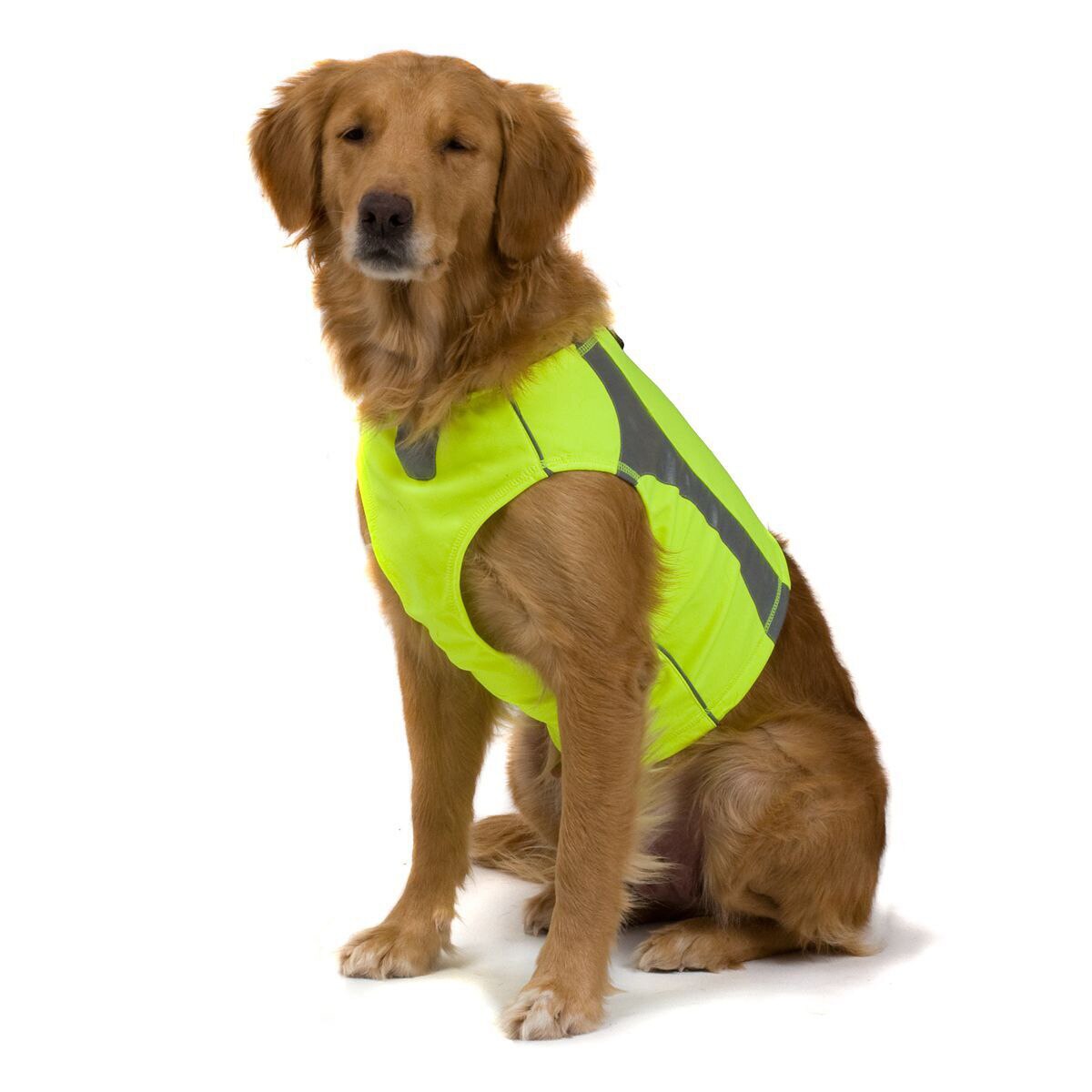 Hurtta Polar Visibility Dog Vest