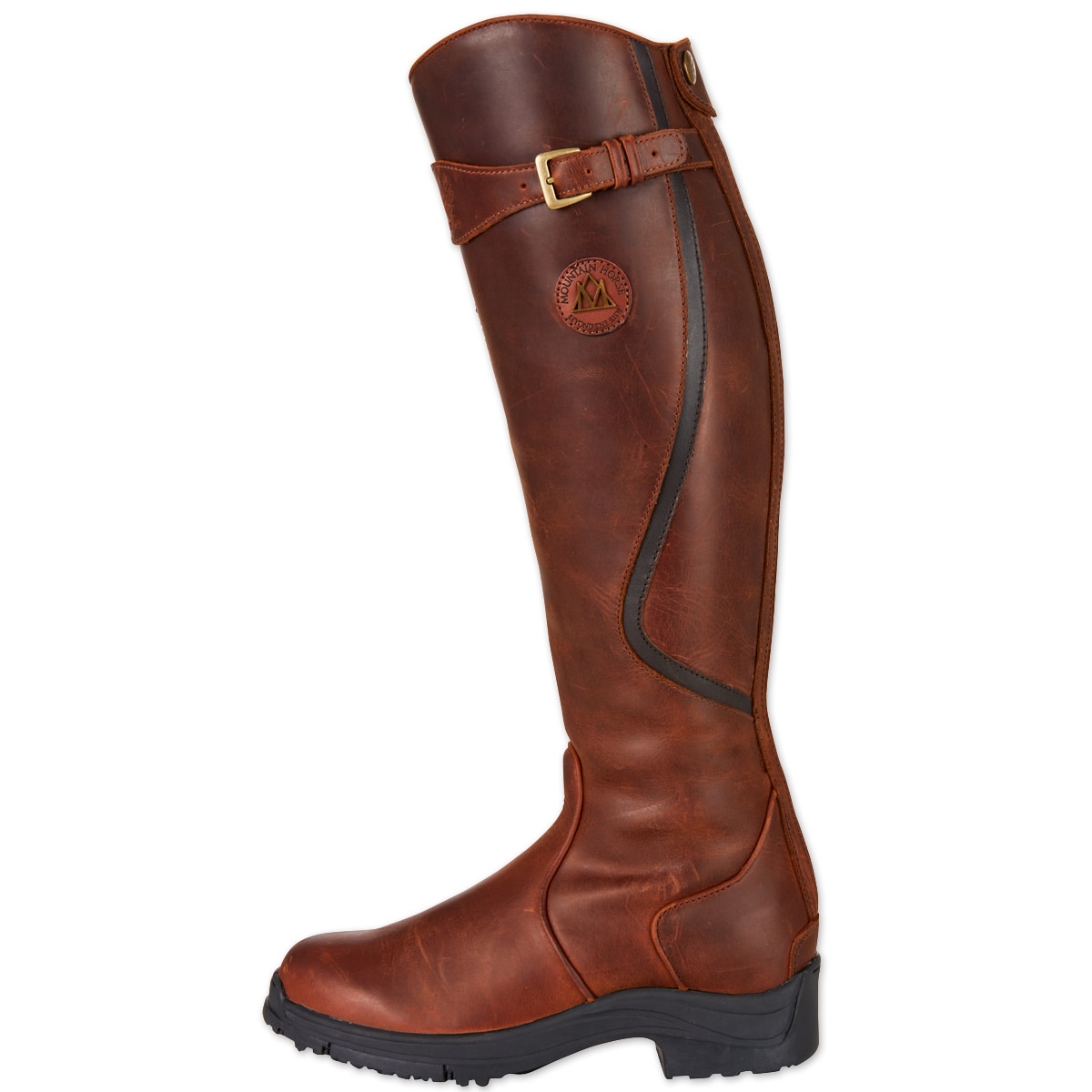 mountain horse snowy river tall winter boot