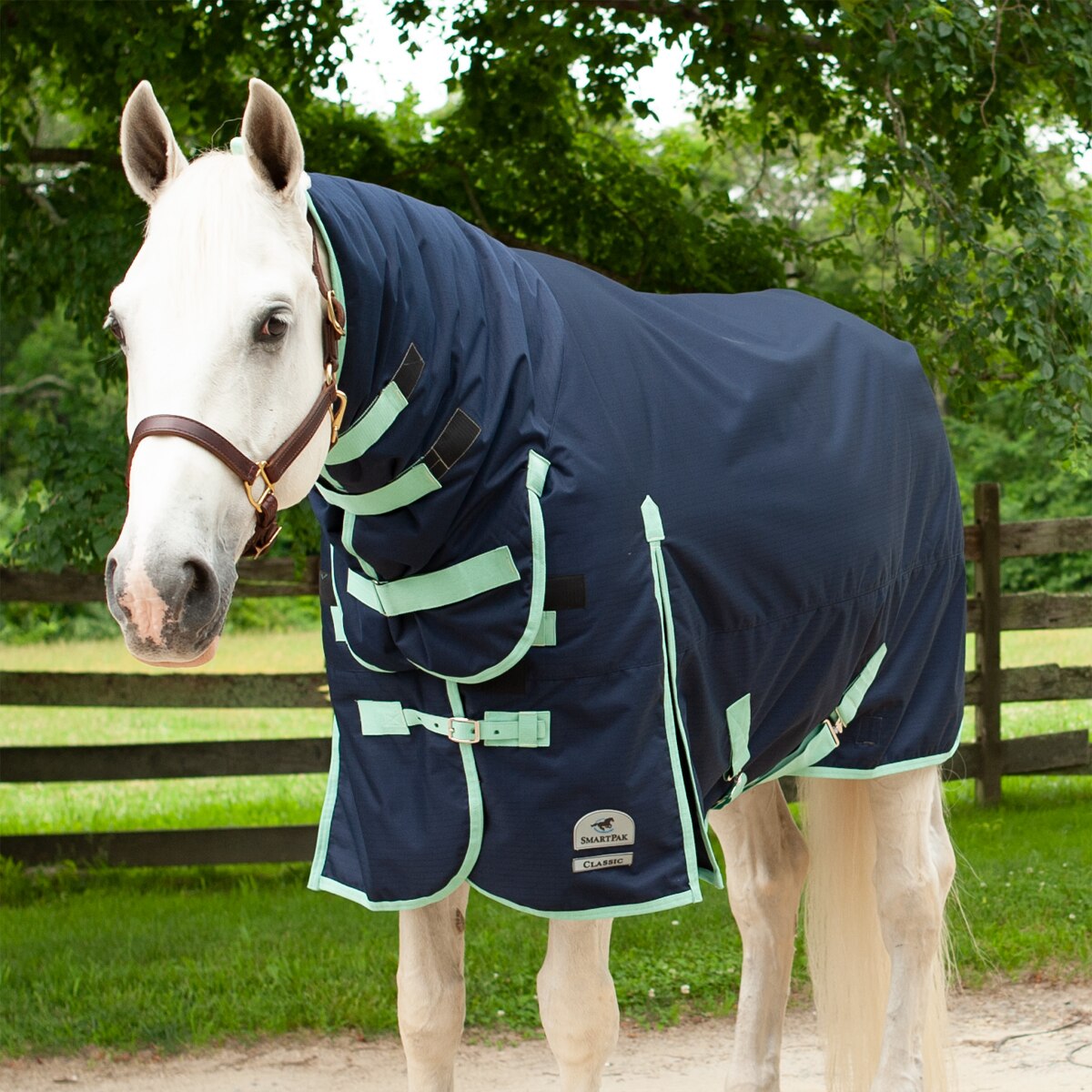 Horse 200G Turnout Rug Combo Waterproof Full Fixed Neck Durable Cooler Blanket