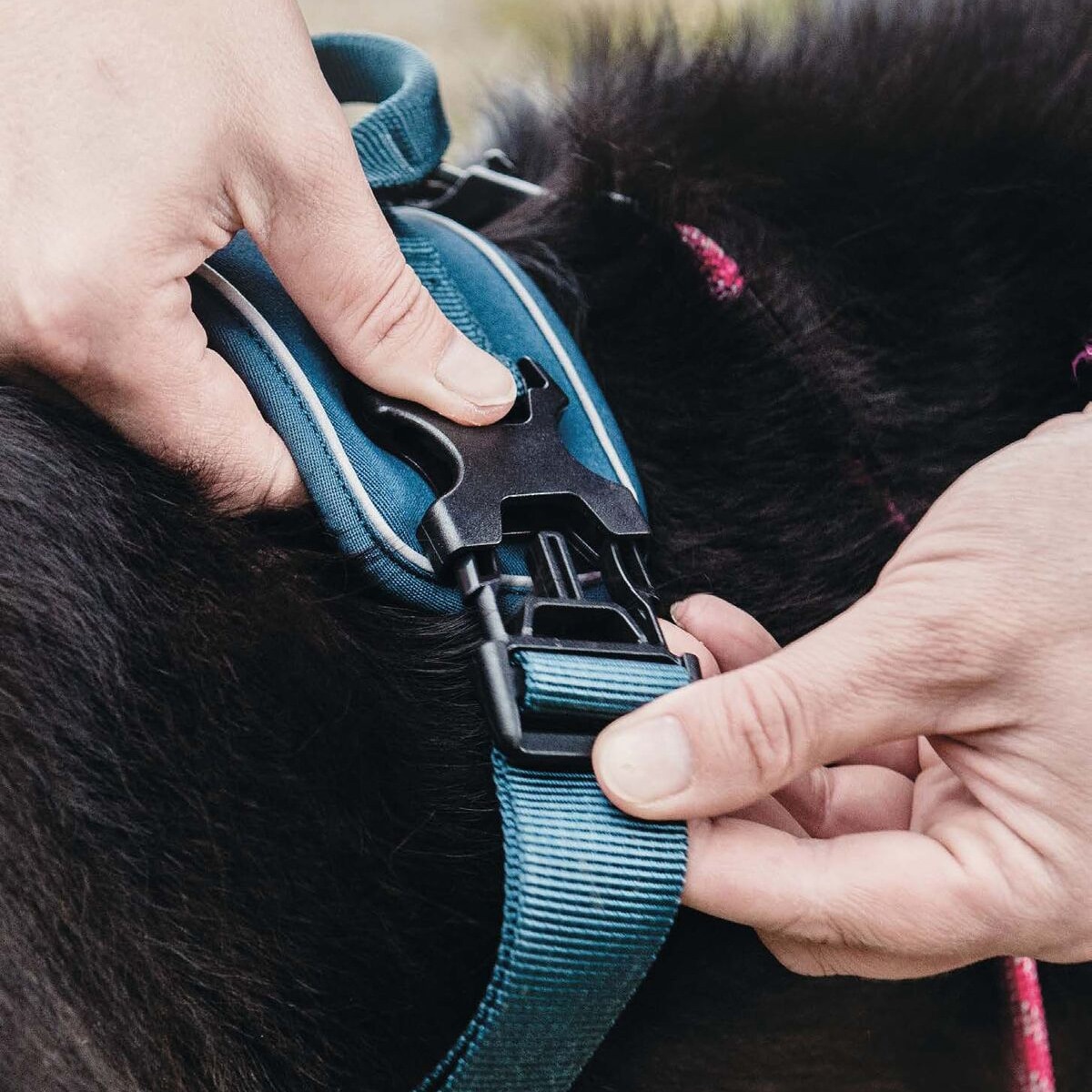 Hurtta Active Harness