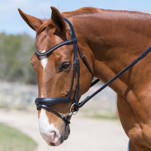 PASSIERBLU Spirit Snaffle bridle