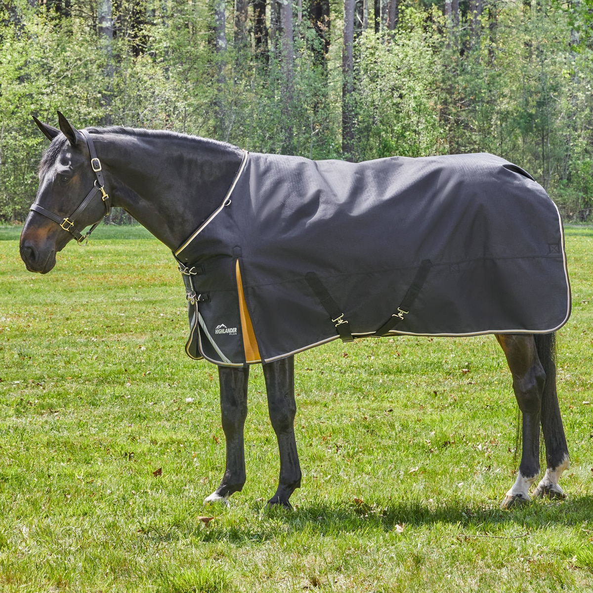 Shires Highlander Turnout Blanket