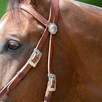Limited Edition Dr. Cook&reg; Bitless Bridle - 
