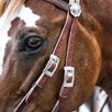 Limited Edition Dr. Cook&reg; Bitless Bridle - 