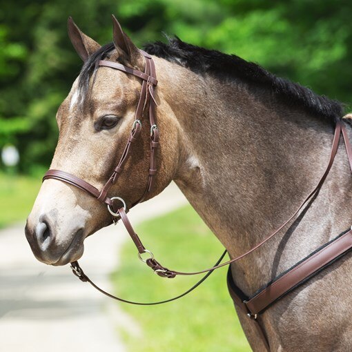 Dr. Cook's Beta Western Bitless Bridle