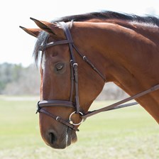 Harwich® Eventing Bridle by SmartPak