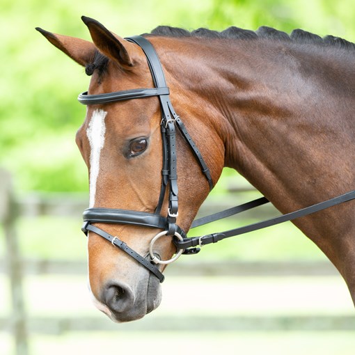 Harwich Dressage Bridle With Crank by SmartPak