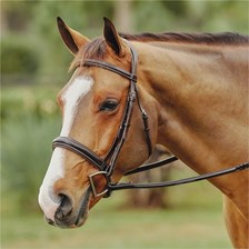Wellfleet® Contoured Hunter Bridle by SmartPak