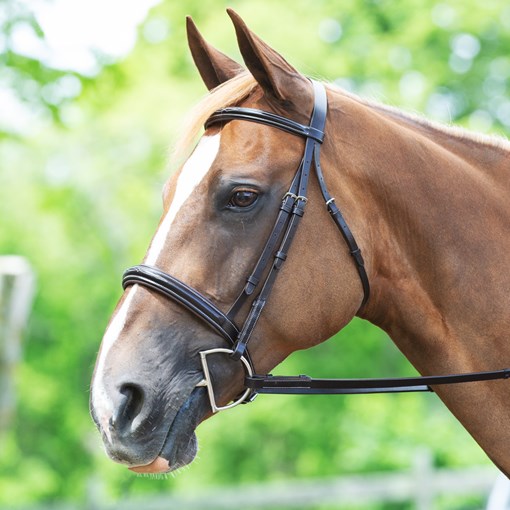 Plymouth Wide Noseband Hunter Bridle