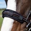 SmartPak Memory Foam Nose and Poll Guard - 