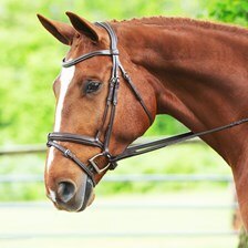 Schockemoehle Tokyo Select Bridle