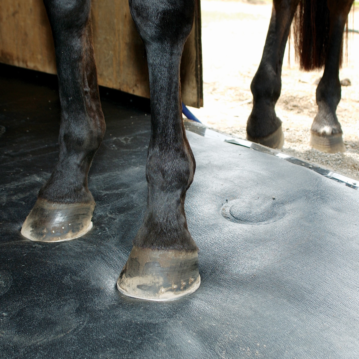 COMFORTSTALL Equine Flooring Kit