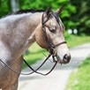 SmartPak Single Ear Headstall Tie End - 
