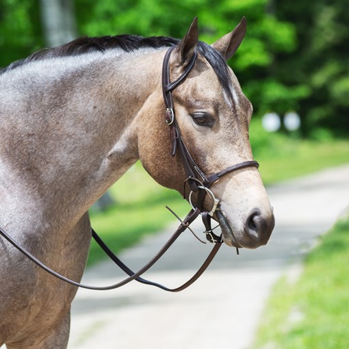 SmartPak Single Ear Headstall Tie End