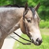 SmartPak Single Ear Headstall Buckle End - 