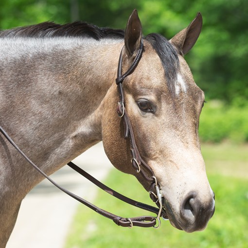 SmartPak Single Ear Headstall Buckle End