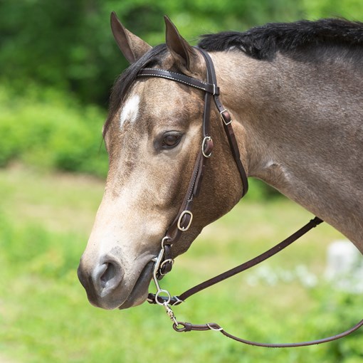 SmartPak Browband Headstall Buckle End