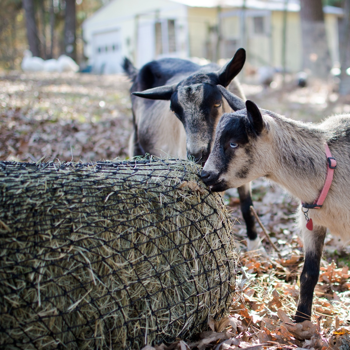 large square bale hay net