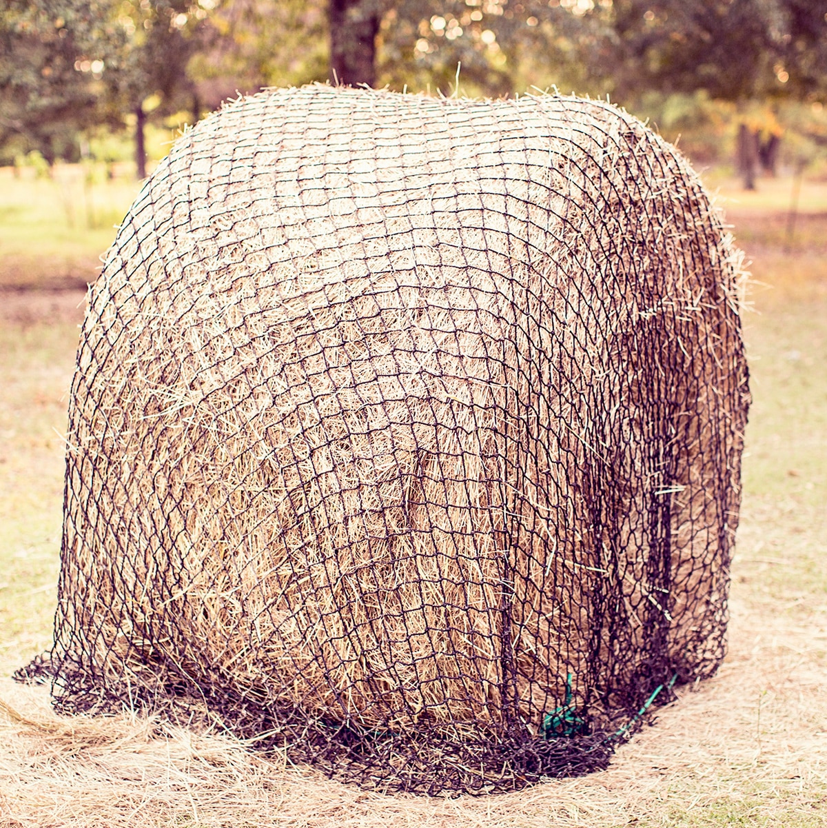 Large Round Bale Net Field Haynet 2 Holes Slower Feed Hay Net Size 5ft x 4ft