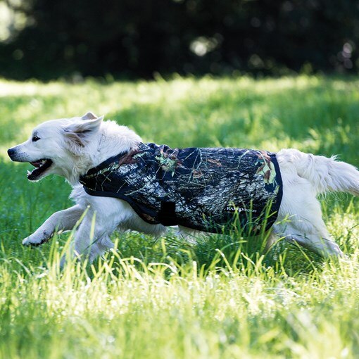 Rambo Camouflage Dog Blanket