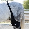 Ice Horse Stifle Wraps - 