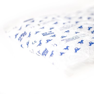 Pack de glace pour cheval - MOTHINESSTO - Ice Pack Professionnel