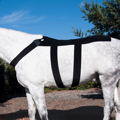 Ice Horse Back Blanket Wrap