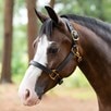 SmartPak Double Stitch Pony/Mini Halter - 