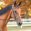 Harwich&reg; Ergonomic Bridle by SmartPak - 