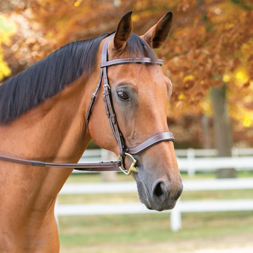 Harwich&reg; Ergonomic Bridle