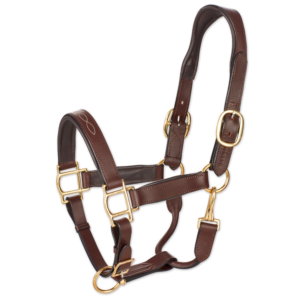 Intrepid International NEW Leather Foal Slip Halter with Grab Strap 
