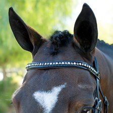 Wellfleet® Patent Grey & Clear Crystal Browband by SmartPak - Clearance!