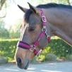 SmartPak Breakaway Halter with COOLMAX&reg; Padding 2.0 - 