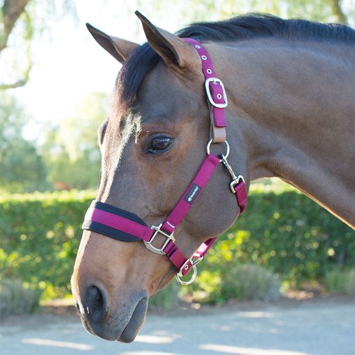 SmartPak Breakaway Halter with COOLMAX&reg; Paddin