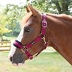 SmartPak Breakaway Halter with COOLMAX&reg; Padding 2.0 - 