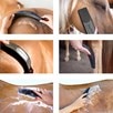 Betty's Best StripHair&reg; Gentle Groomer&trade; Original For Horses - Black