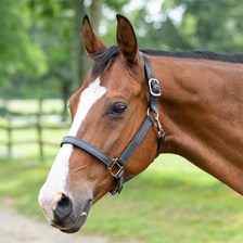 SmartPak Leather Halter