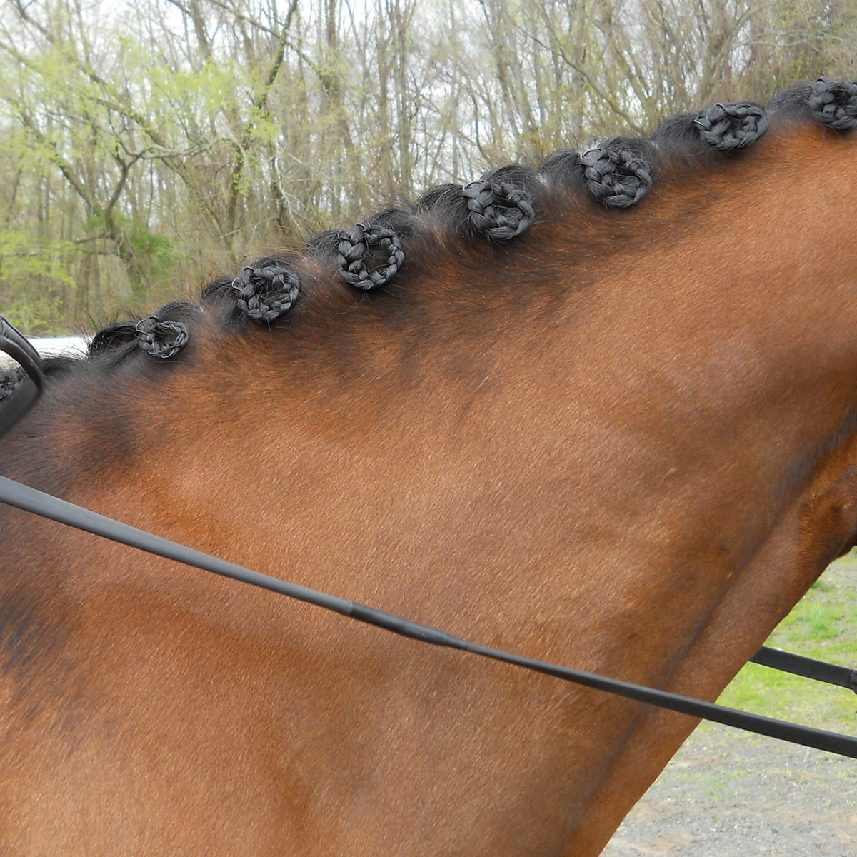 Horse Plaiting Thread for Mane & Tails Grooming Accessories White Black Brown 