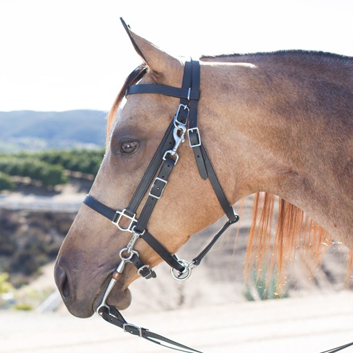 SmartPak Stainless Steel All Weather Combo Bridle