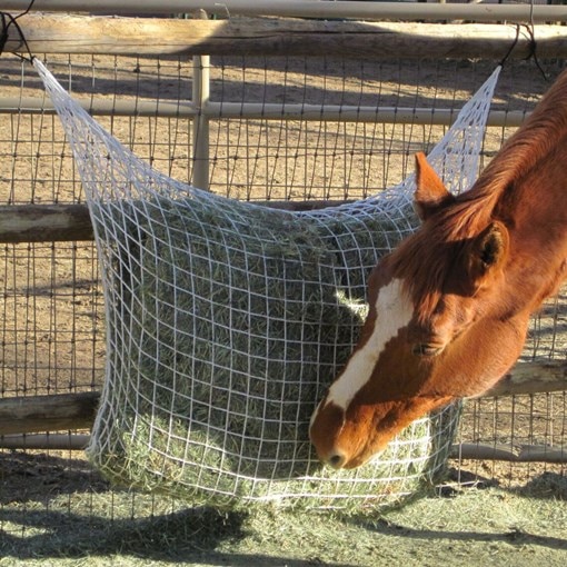 Freedom Feeder Extended Day Net