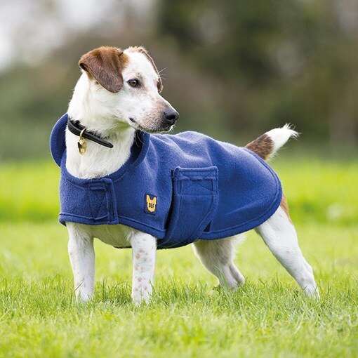 Shires Digby & Fox Dog Towel Coat