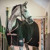 WeatherBeeta Therapy-Tec Standard Neck Sheet - 