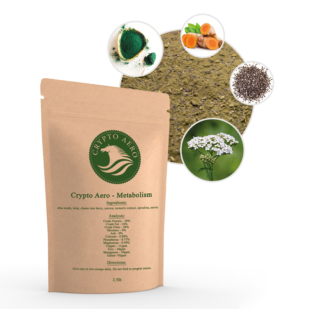 Crypto Aero Metabolism