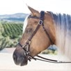 SmartPak Western Side Pull - 