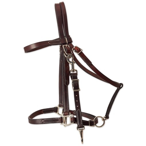 Western Halters & Combination Halters you will find at