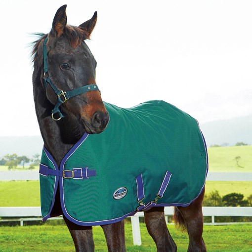 WeatherBeeta 1200D Foal Standard Neck Medium II